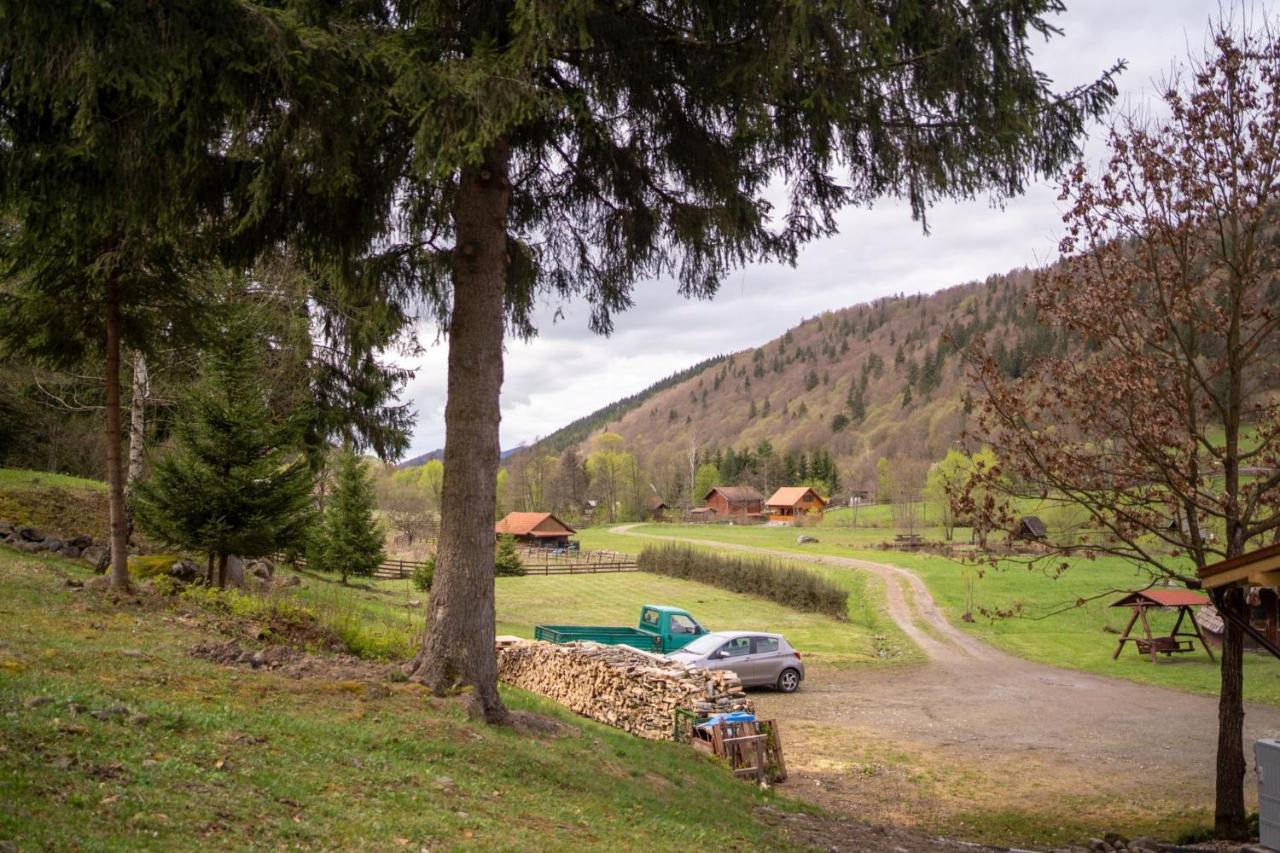 3A Guest House Sicasău Buitenkant foto